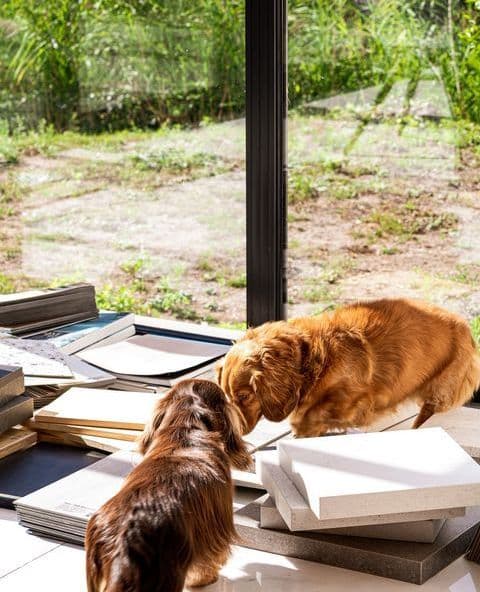 Oscar & Omer
